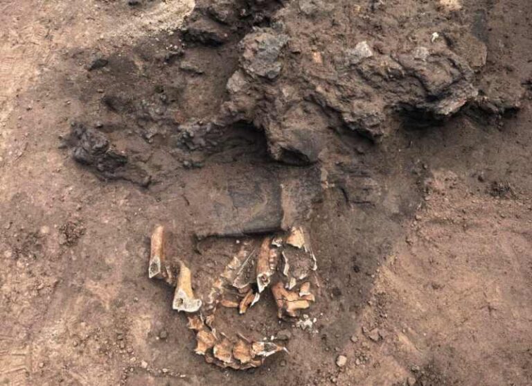 Szczątki ofiary rytuału